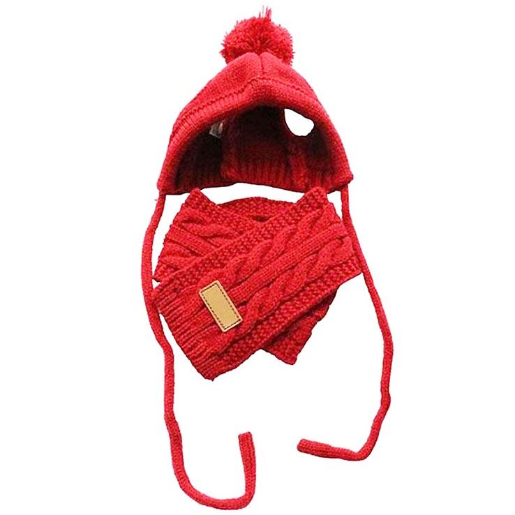 dog hat