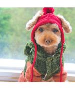gorro para perros pequeños