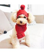 sombrero de mascota