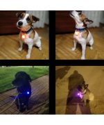 pendentif lumineux pour chien