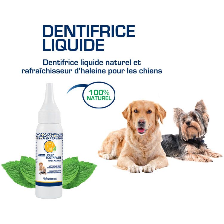 Dentifrice pour chien 100% naturel