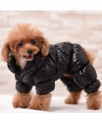 warm and furry dog jumpsuit