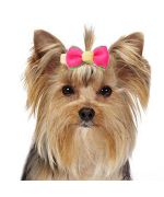 Small hair clip for york special miniature dog and small long-haired dog pink, red, blue, yellow ... cheap trend