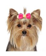 Barra pequeña para perro miniatura especial york y perro pequeño de pelo largo rosas, rojas, azules, amarillas... tendencia no