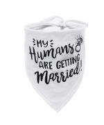 accessoire pour chien mariage