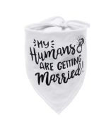 accessories for dog wedding