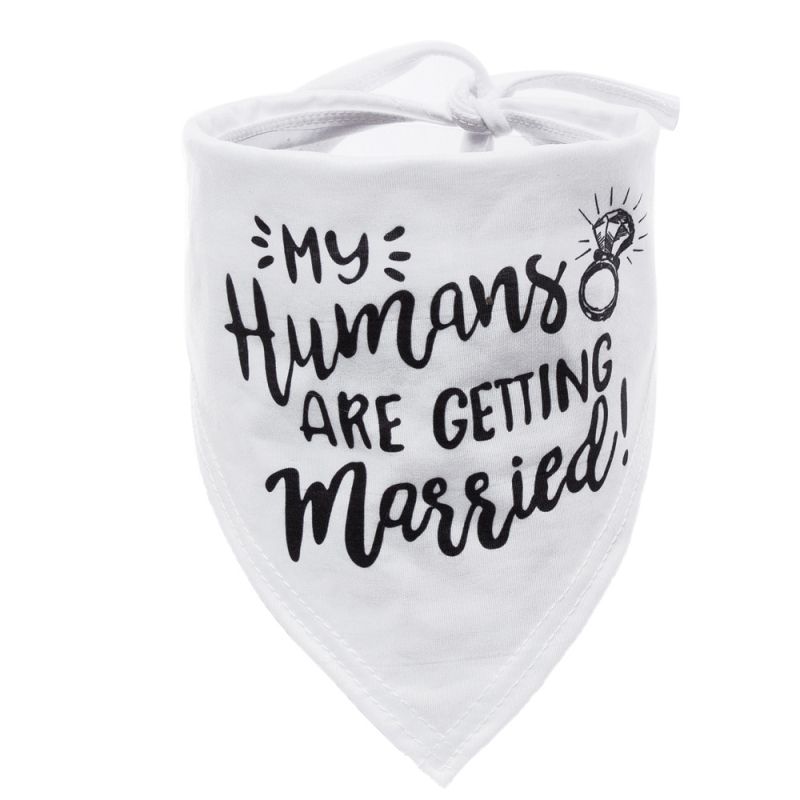 accessories for dog wedding