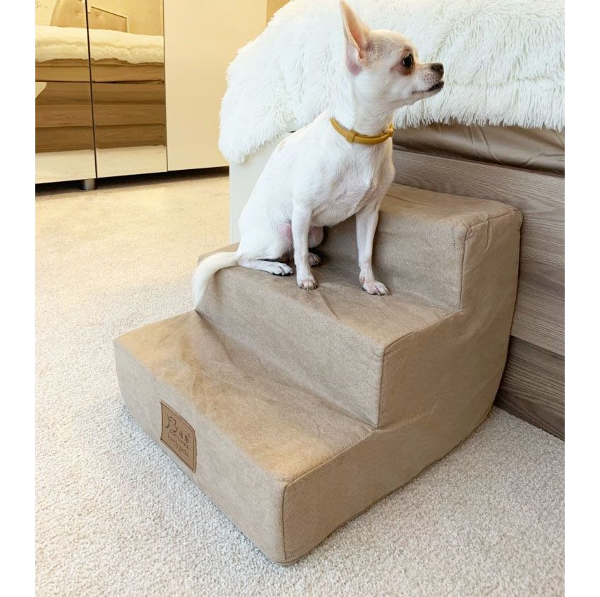 dog stairs to get on the bed