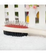 brosse pour chien avec picots