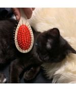 cat brush with spikes