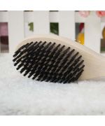 brosse pour chien avec picots