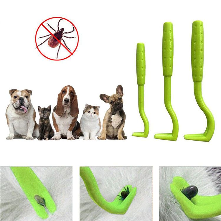 tick clip for puppy kitten