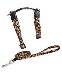 All cat Harness & Leash - leopard