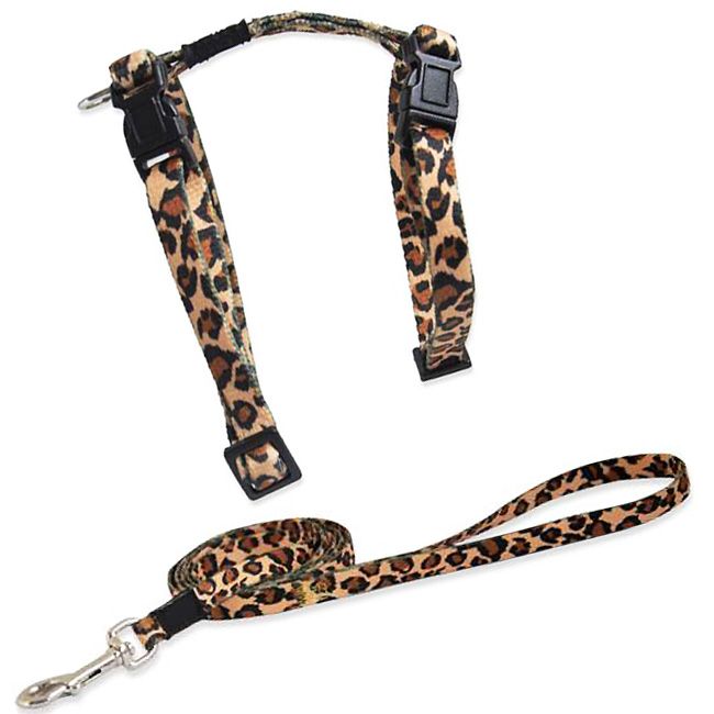 together to cat leopard leash harness.