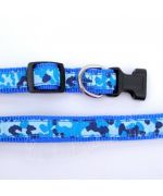 trendy blue dog collar