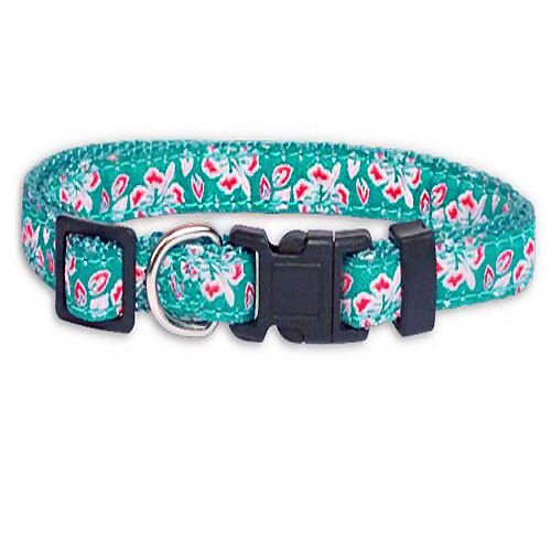 collier hawaien pour chien 