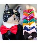 bow tie for cat