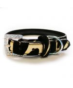 Black and gold chic dog collar