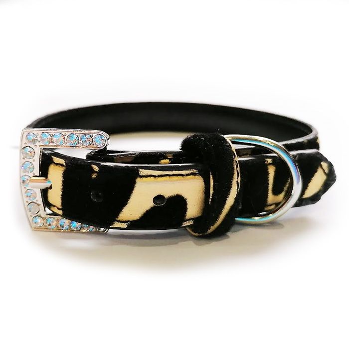 Elegante collar de perro negro y dorado