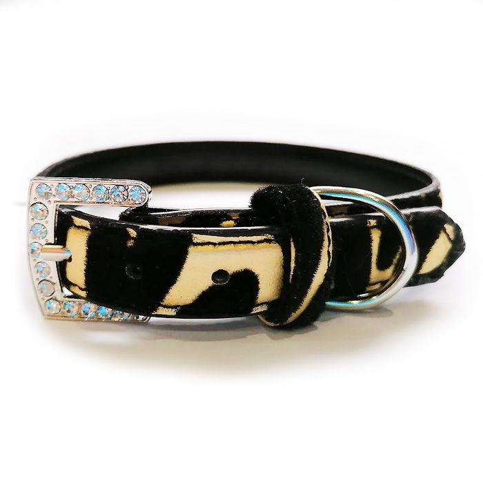 Black and gold chic dog collar