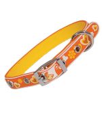 collar for small colorful dog