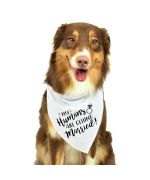 accessoires mariage pour chien