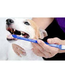 Brosse A Dent Chiens Set De Brosses A Dents Animaux Brosses A Dents Chats Doigtier Petit Chien Pas Cher