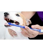 Set tooth Brush + 2 finger cots - Dog and cat