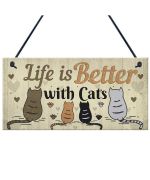 cat house plaque