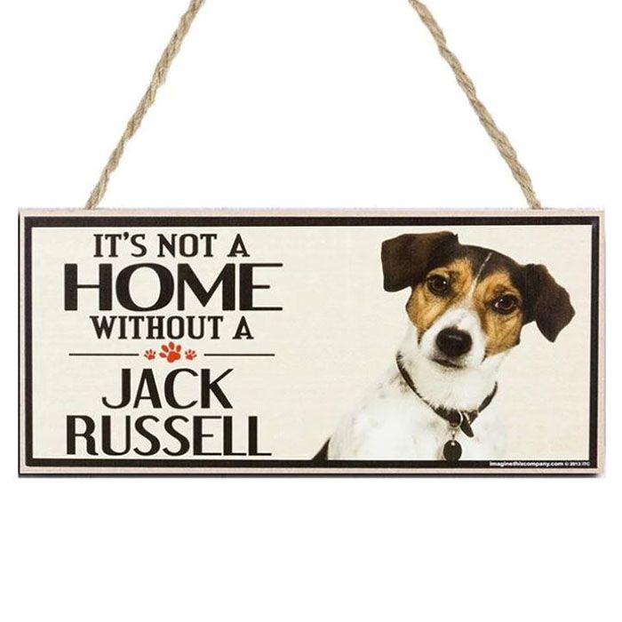 plaque jack russel