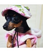 petite casquette pour chien fleurie