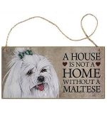 plate house bichon maltese