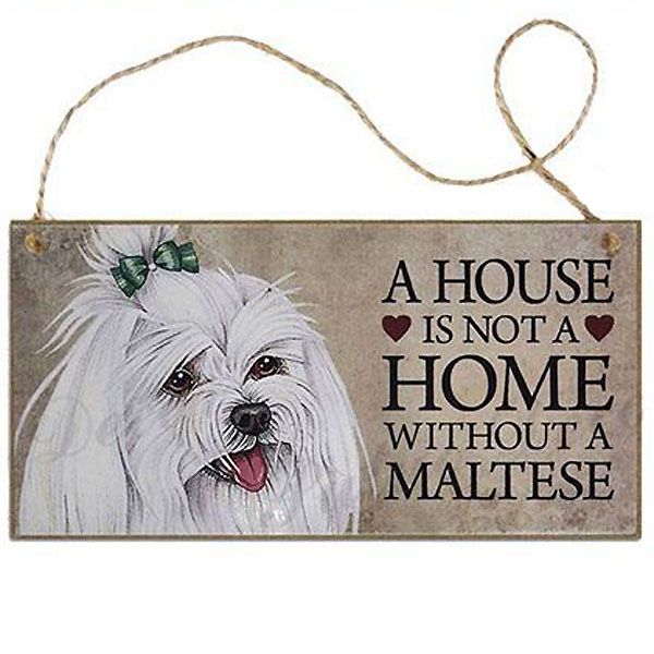 plate house bichon maltese