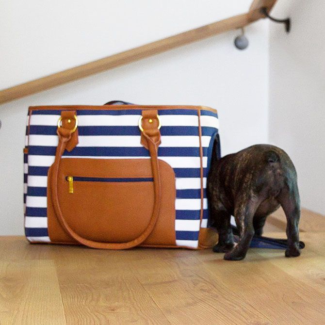 Sac de transport pour chien marin