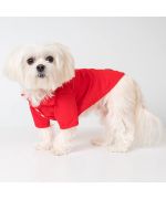 polo shirt for dog