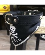 collar bandana pirata para perro pequeño