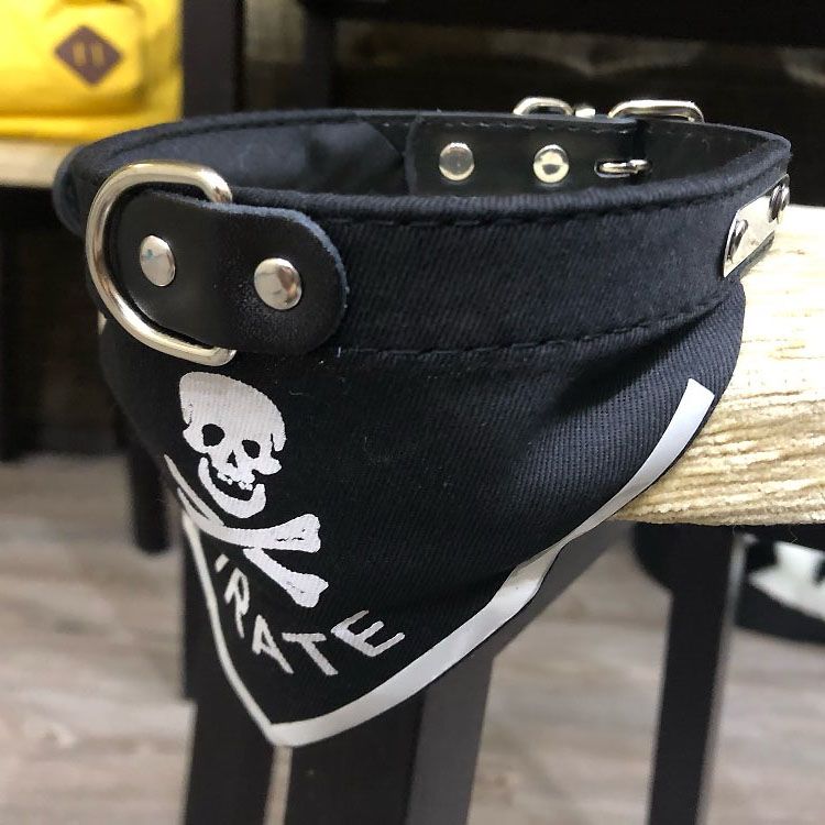 collar bandana pirata para perro pequeño