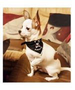 collier bandana pirate pour chien