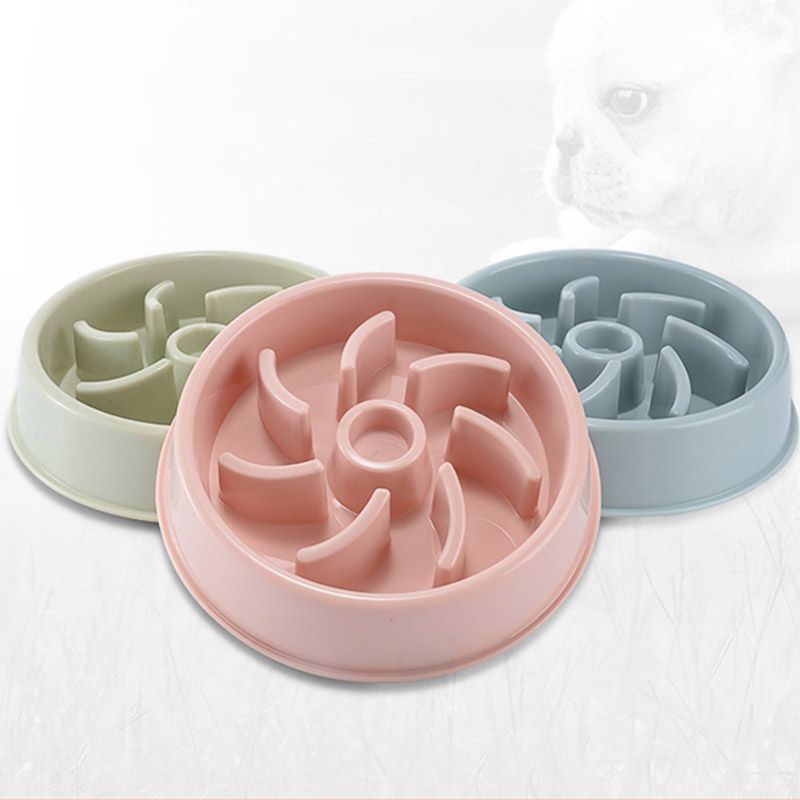 bowls for dogs antiglouton