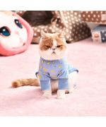 pijama de gato