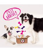 Caja sorpresa para perros pequeños
