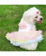 Robe pour chien anniversaire