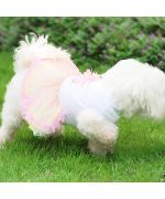 tenue anniversaire pour chien