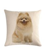 cushion with spitz