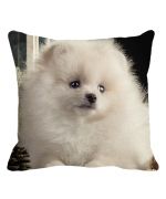 white spitz cushion