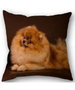 cushion spitz gift