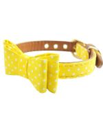 collar with bow for chic dog