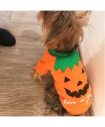 Suéter de perro calabaza - Halloween