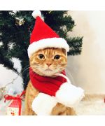 accesorios navideños para gatos