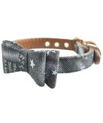 star dog collar